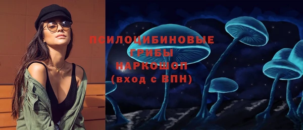 ПСИЛОЦИБИНОВЫЕ ГРИБЫ Алзамай