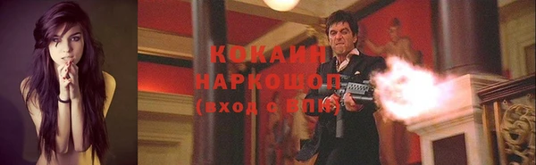 ПСИЛОЦИБИНОВЫЕ ГРИБЫ Алзамай