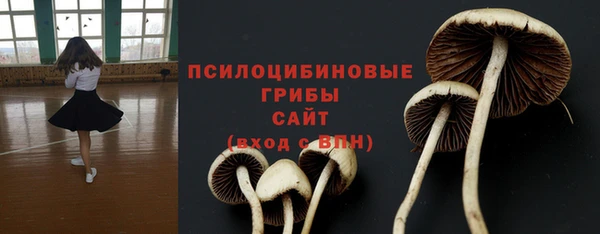 PSILOCYBIN Алексеевка