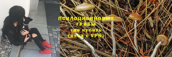 PSILOCYBIN Алексеевка