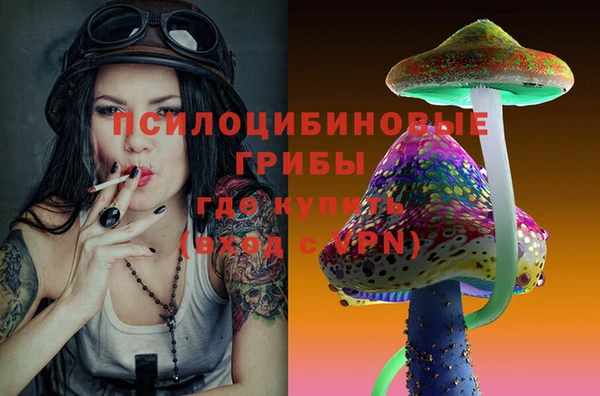 ПСИЛОЦИБИНОВЫЕ ГРИБЫ Алзамай