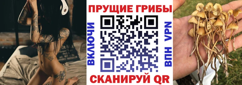 Галлюциногенные грибы ЛСД  Апшеронск 