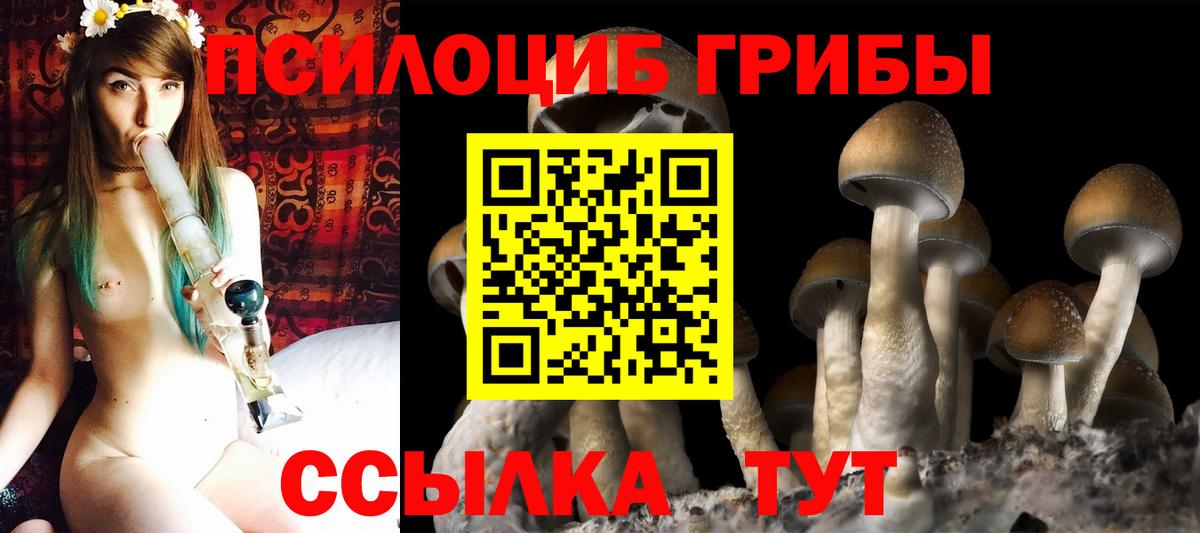 Псилоцибиновые грибы мухоморы  Галлюциногенные грибы Psilocybe  Вход с VPN  Апшеронск 